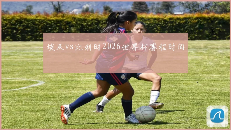 埃及vs比利时2026世界杯赛程时间