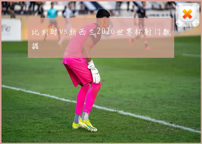 比利时vs新西兰2026世界杯射门数据