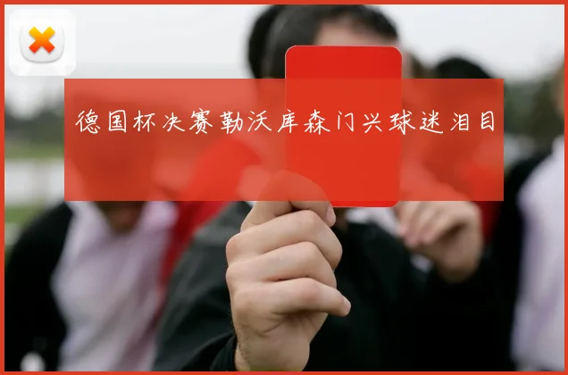德国杯决赛勒沃库森门兴球迷泪目