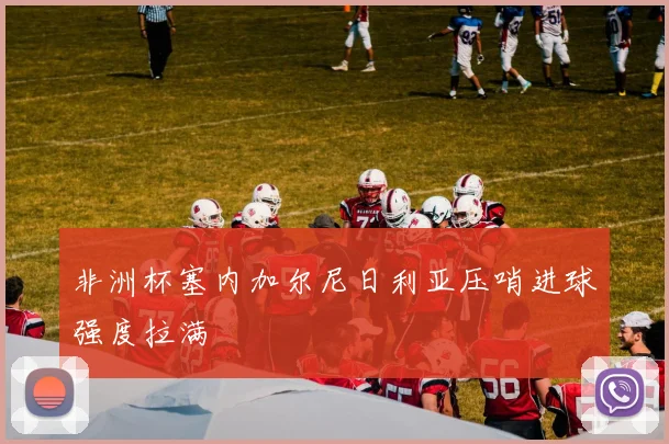 非洲杯塞内加尔尼日利亚压哨进球强度拉满