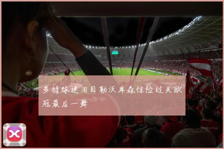 多特球迷泪目勒沃库森惊险过关欧冠最后一舞