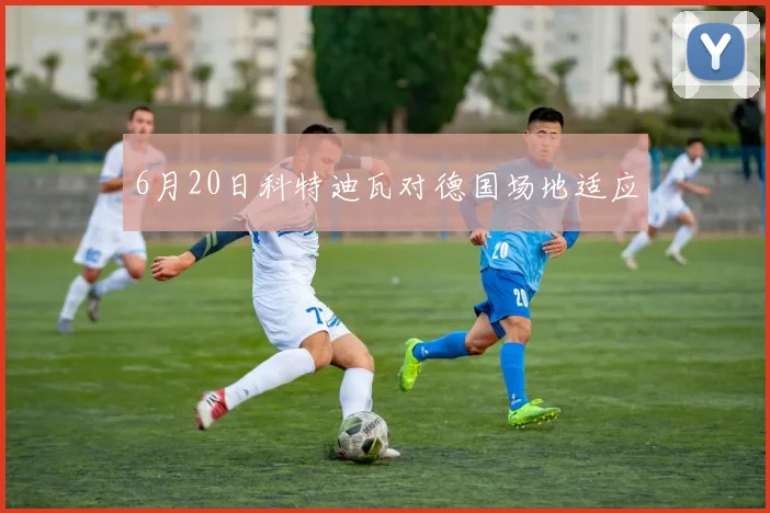 6月20日科特迪瓦对德国场地适应