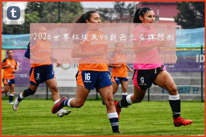 2026世界杯埃及vs新西兰黄牌预测