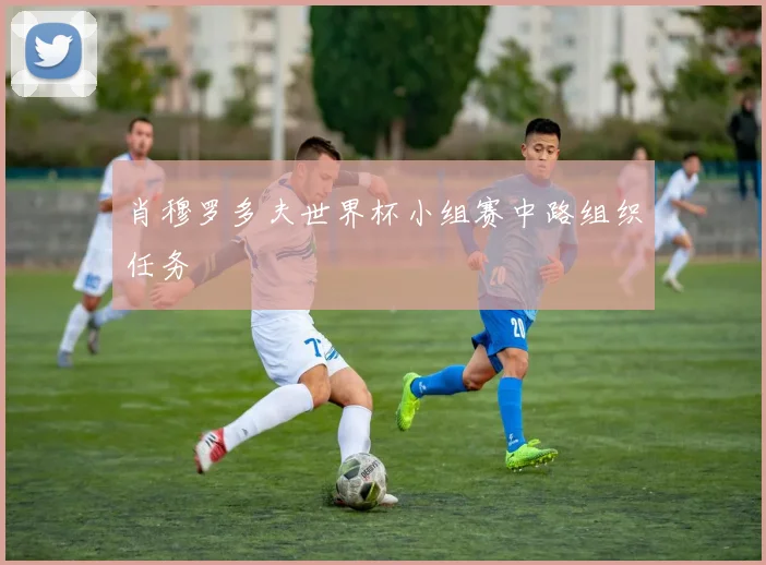 肖穆罗多夫世界杯小组赛中路组织任务