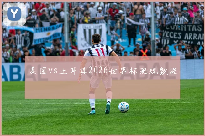 美国vs土耳其2026世界杯犯规数据