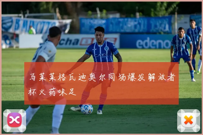 马莱莱格瓦迪奥尔同场爆发解放者杯火药味足